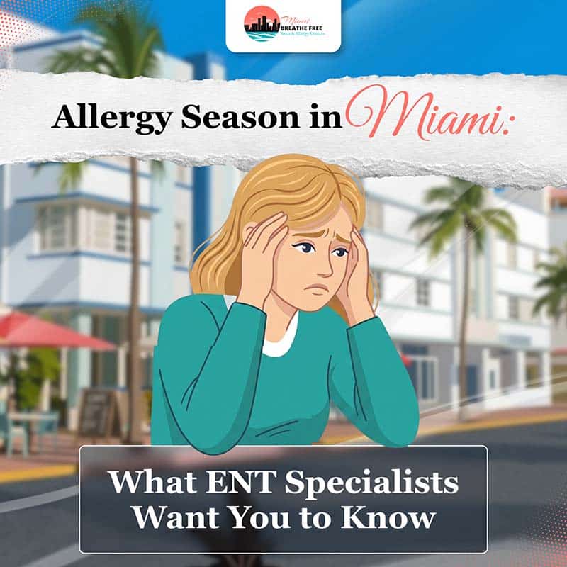 Allergy Season In Miami Allergy Season In Miami